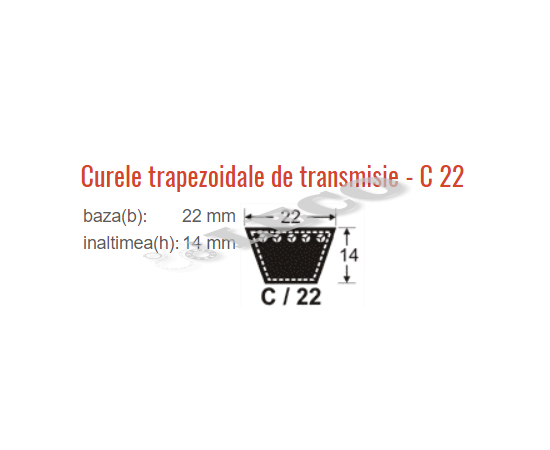 Curea trapezoidală Contitech 22X14X2965 Li C117 - megora.ro