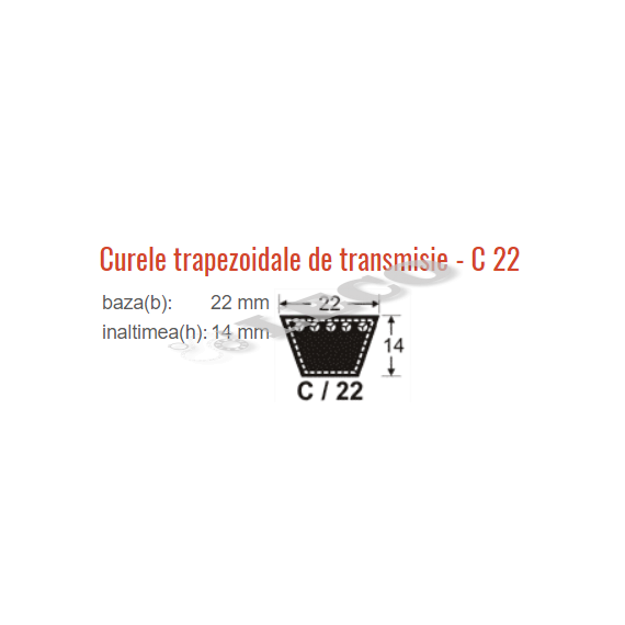 Curea trapezoidală Megadyne 22X14X6700 Li C265 Ext - megora.ro